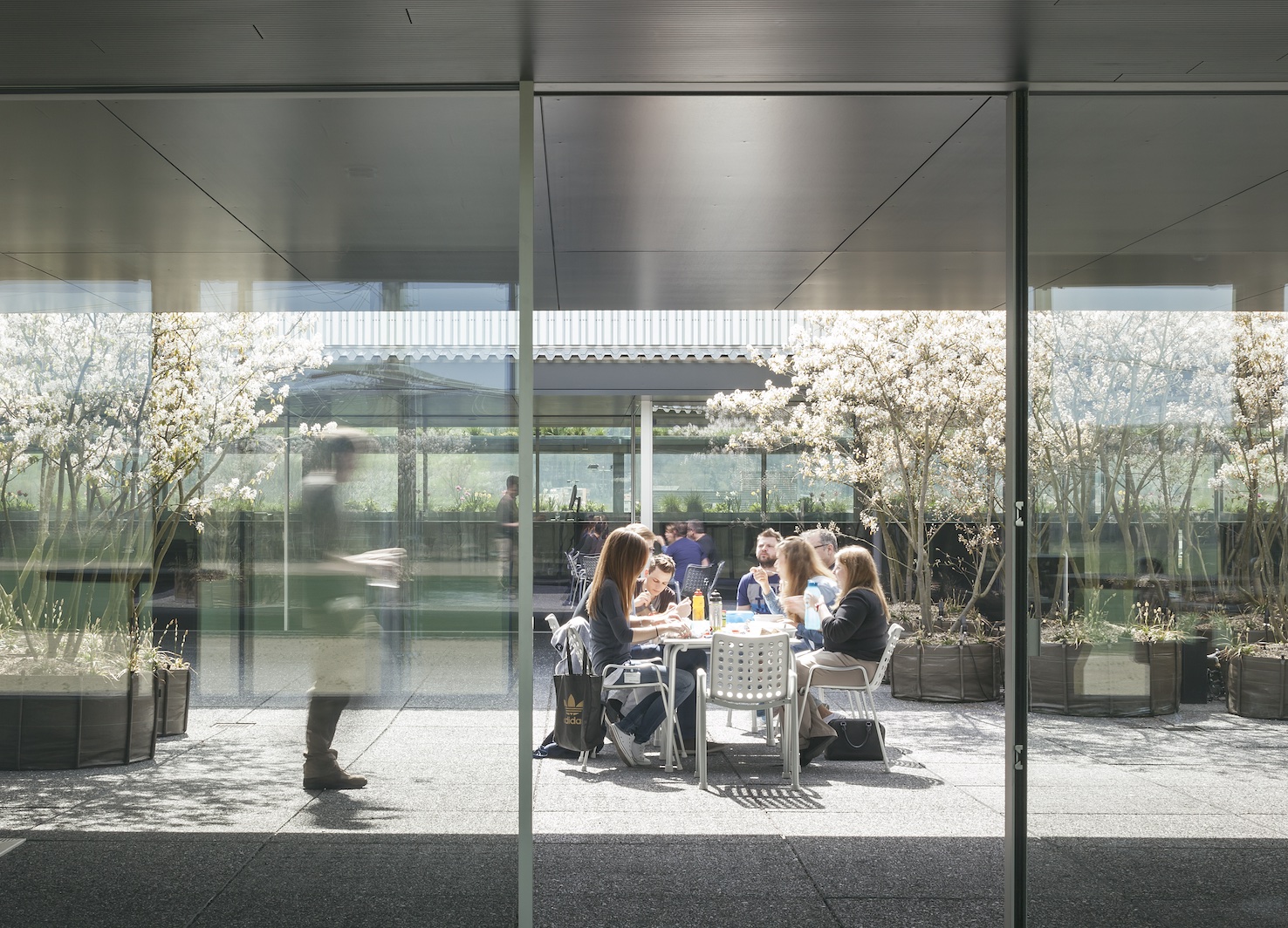 Sky-Frame Hauptsitz (2) copy